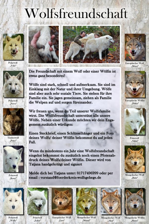 Wolfsfreundschaft Wolfspark Werner Freund